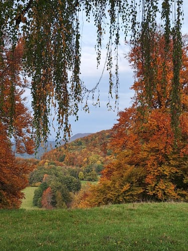 Ganskragen, Randeck, Breitenstein, Ochsenwang