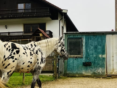 W 57 Schwaighausen - Duggendorf