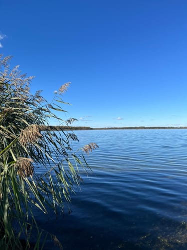 Um den Raßnitzer See