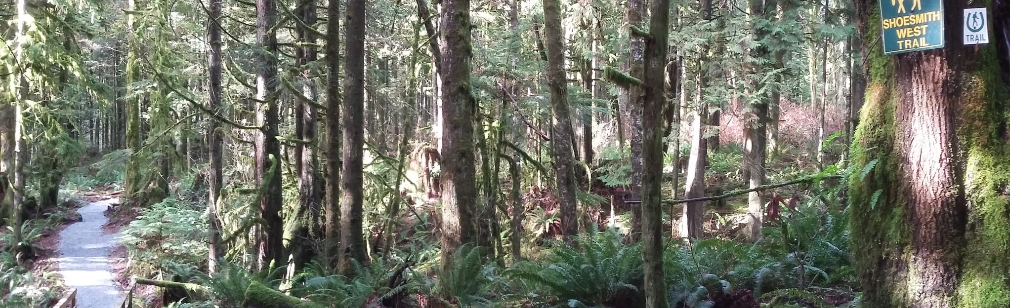 Bear Claw Loop , British Columbia, Canada 157 Reviews, Map AllTrails