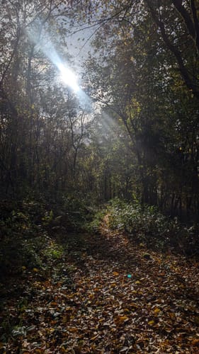 Um die Wiehler Tropfsteinhöhle und den Wildpark