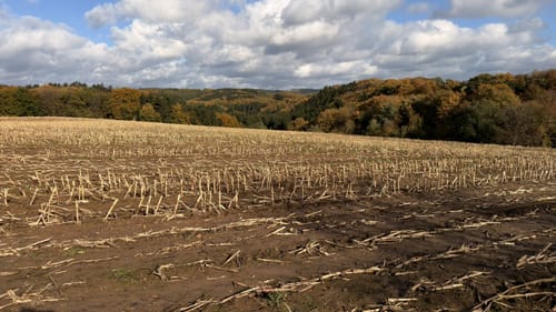 Birmingen (Naturpark Südeifel Wanderweg Nr. 77)
