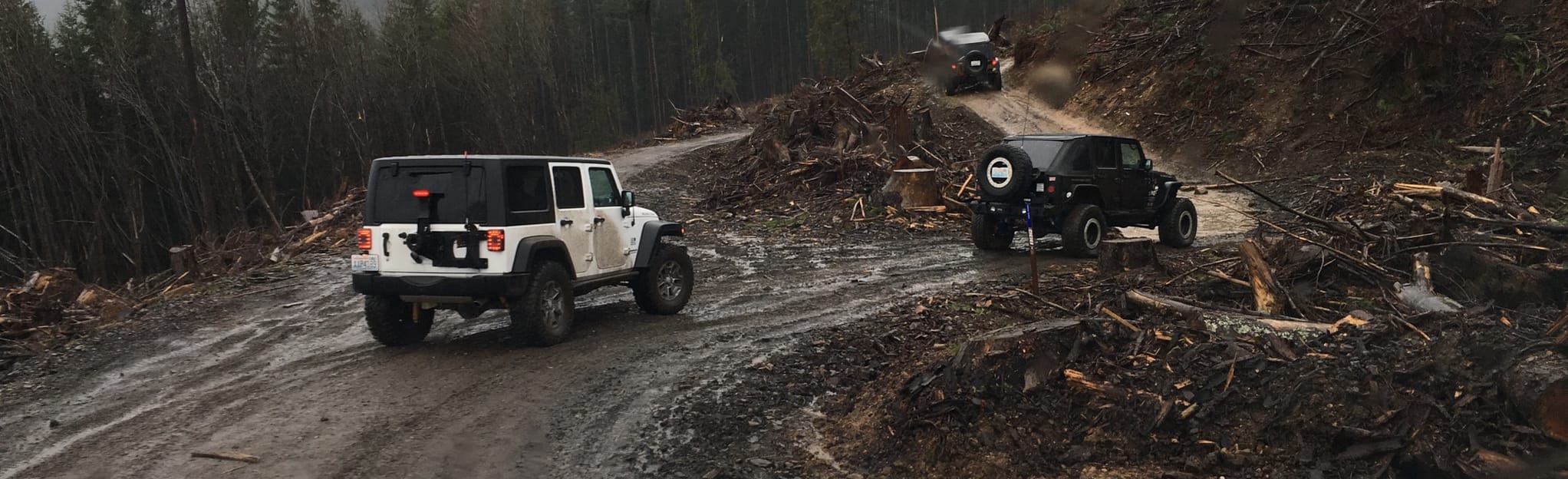 Walker Valley 22 and BR1604 OHV Trail Washington AllTrails