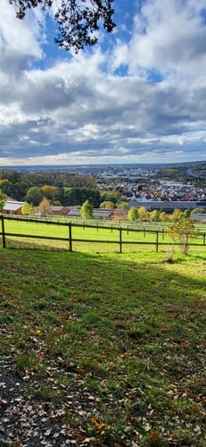 Hösbacher Wald