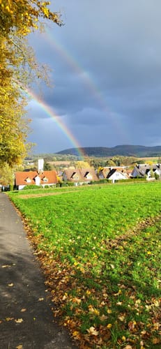 Hösbacher Wald