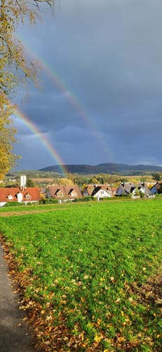 Hösbacher Wald