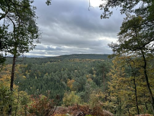 Römerpfad (Premiumwanderweg)