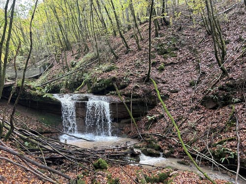 Römerpfad (Premiumwanderweg)