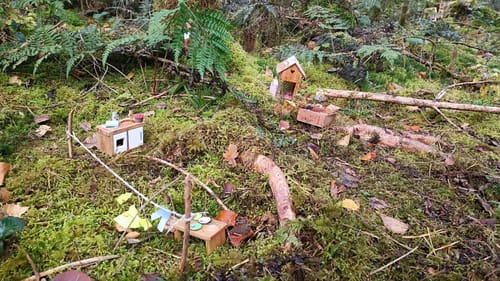 Rund ums Ainringer Moor