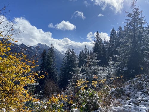 Vom Söllereck zum Freibergsee
