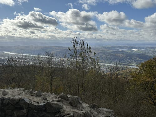Rhöndorf - Tretschbachtal - Löwenburg