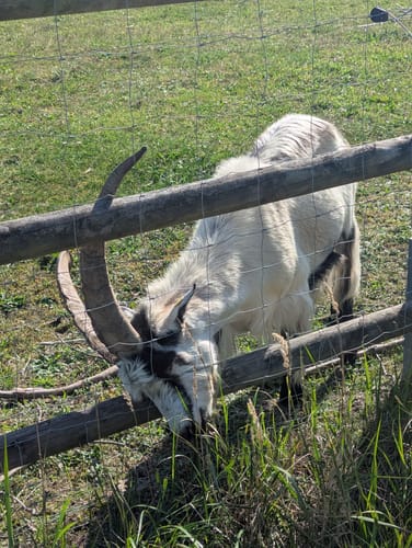 Geheimnisse im Erlanger Osten