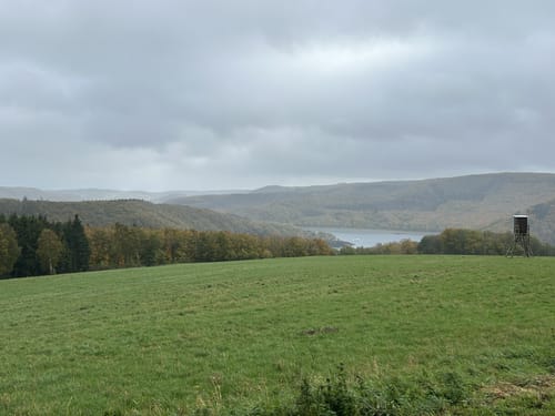 Woffelsbach und Steckenborn