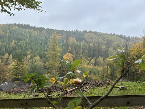 Woffelsbach und Steckenborn