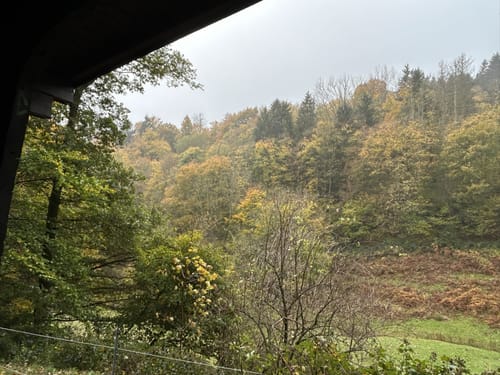 Woffelsbach und Steckenborn