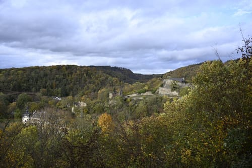 Saynsteig (Traumpfad)