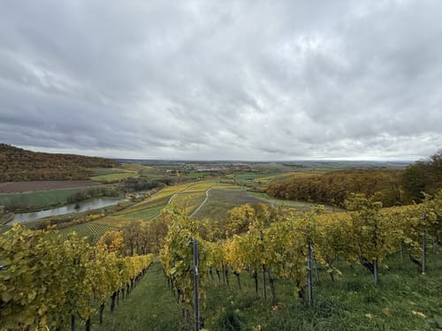 Rundwanderweg Waldläufer ab Handthal