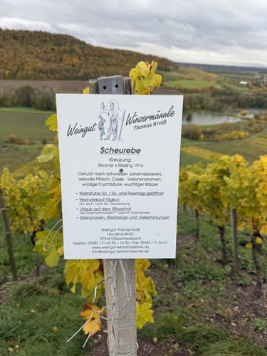 Rundwanderweg Waldläufer ab Handthal