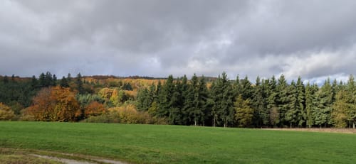 Masdascher Burgherrenweg (Traumschleife)