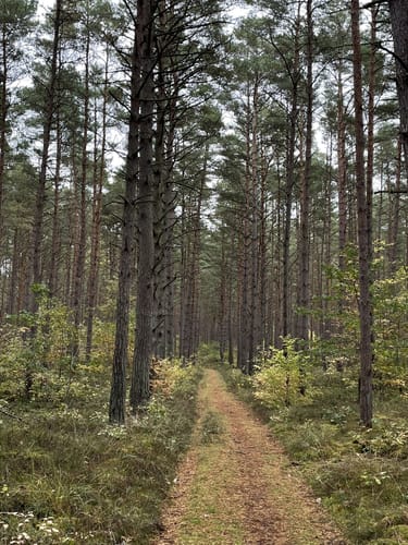 Zinnowitz - Ostseebad Karlshagen - Peenemunde