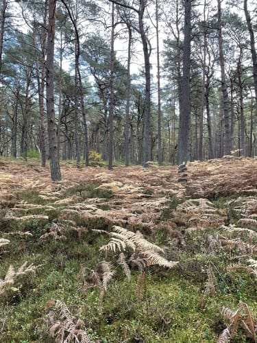 Zinnowitz - Ostseebad Karlshagen - Peenemunde