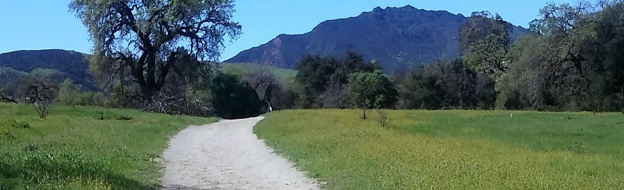 Lower Chesebro Canyon Loop California AllTrails