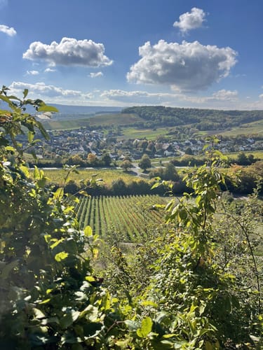 Neipperg - Lochwald - Krapfen