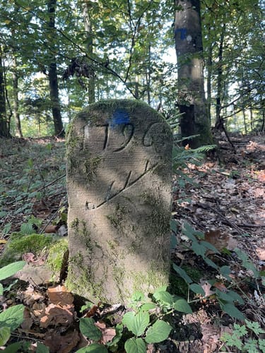 Neipperg - Lochwald - Krapfen