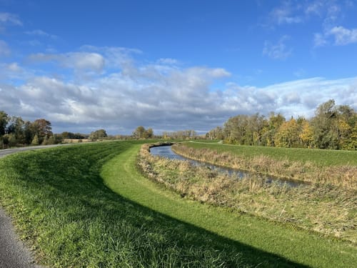 Entlang den Rheinauen