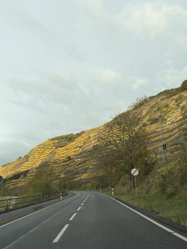 Moseltraum (Traumpfädchen)