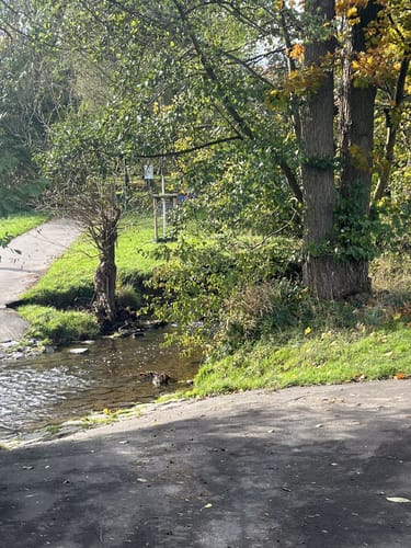 Niederhöchstadt - Skulpturenpark - Tal des Westerbachs
