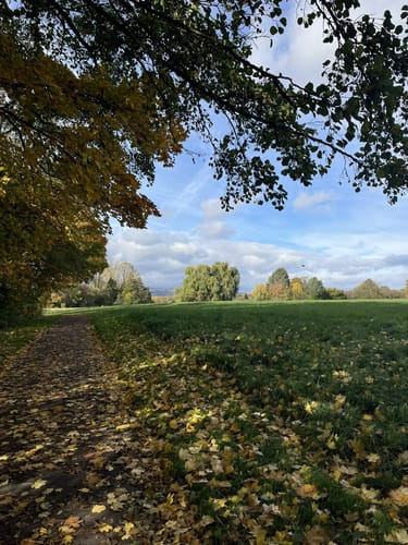 Niederhöchstadt - Skulpturenpark - Tal des Westerbachs