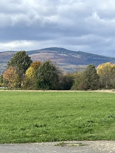 Niederhöchstadt - Skulpturenpark - Tal des Westerbachs
