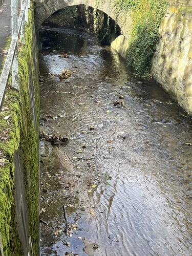 Niederhöchstadt - Skulpturenpark - Tal des Westerbachs