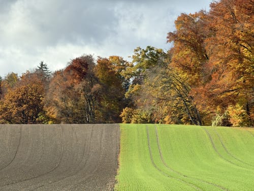 Maisinger Schlucht Rundweg