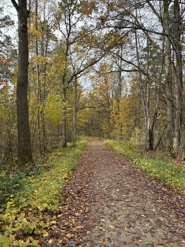 Große Runde bei Lauf an der Pegnitz