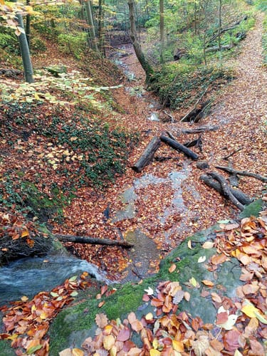 Grunbacher Wasserfall und Hanweiler