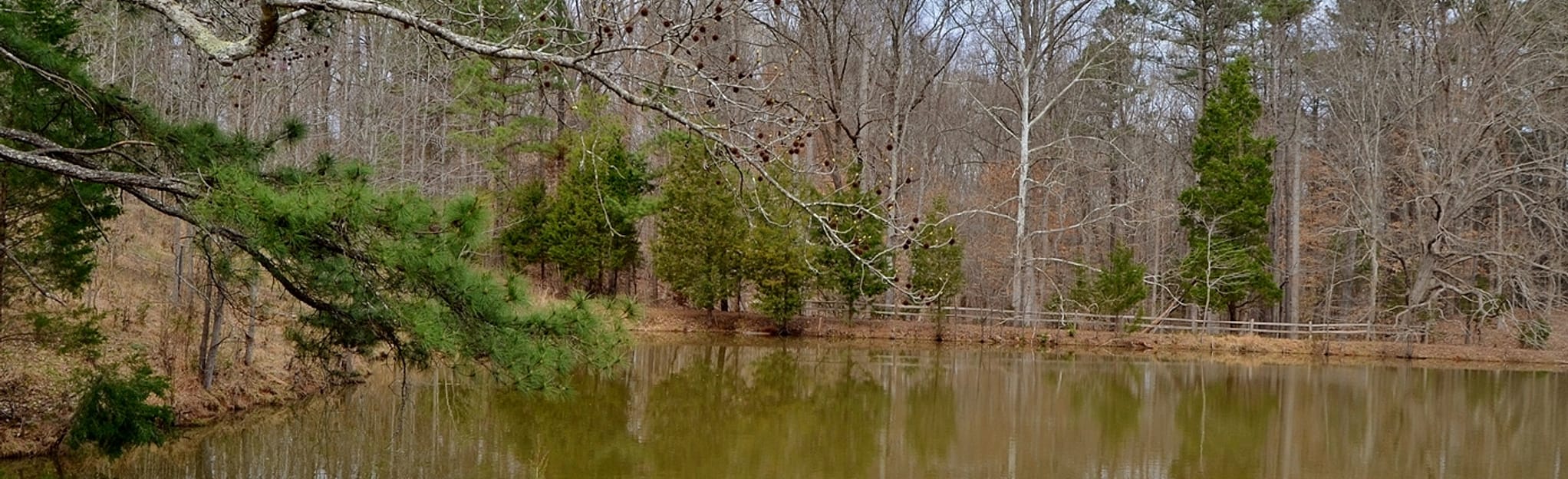 Epps Forest Loop Hidden Rocks - EyJidWNrZXQiOiJhc3NldHMuYWxsdHJhaWxzLmNvbSIsImtleSI6InVwbG9hZHMvcGhvdG8vaW1hZ2UvMTE0NzA3NDAvOWVkMTAxOTE1NjcwZWIwNjA2MmExNDQyOTZhN2U5NjUuanBnIiwiZWRpdHMiOnsidG9Gb3JtYXQiOiJqcGVnIiwicmVzaXplIjp7IndpZHRoIjoyMDQ0LCJoZWlnaHQiOjYyNCwiZml0IjoiY292ZXIifSwicm90YXRlIjpudWxsLCJqcGVnIjp7InRyZWxsaXNRdWFudGlzYXRpb24iOnRydWUsIm92ZXJzaG9vdERlcmluZ2luZyI6dHJ1ZSwib3B0aW1pc2VTY2FucyI6dHJ1ZSwicXVhbnRpc2F0aW9uVGFibGUiOjN9fX0=