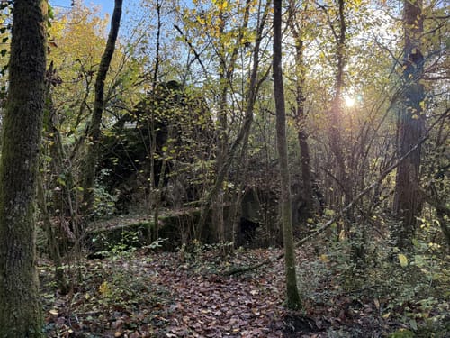 Fischerberg (Traumschleifchen)