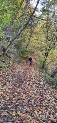 Ulmener Weiher und Maar