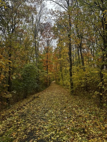 Rundweg Talsperre Bautzen