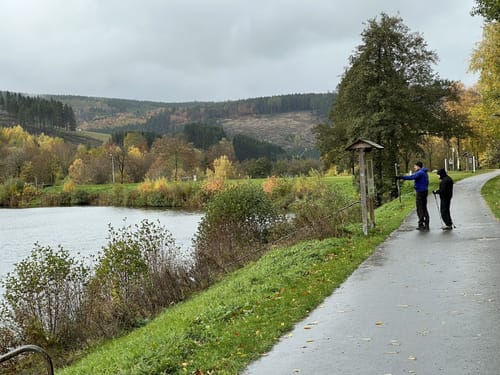 Um den Hillebachsee