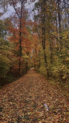 Rundweg Talsperre Bautzen