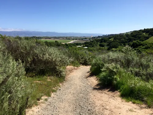 10 Best Hikes and Trails in Fort Ord National Monument  AllTrails