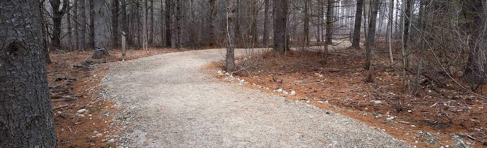 AllTrails Cumberland Town Forest 172 Reviews, Map Maine