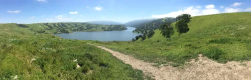 are dogs allowed at del valle regional park