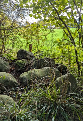 Rundweg im Blocksdorfer Holz