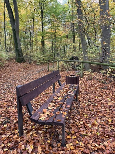 Kleine Felsenmeerrunde