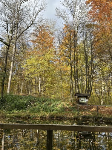Erfurter Steigerwald: Naturlehrpfad 2