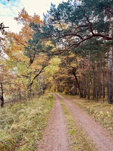 Rundwanderweg Riebener See